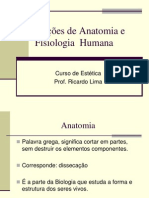 Noções de Anatomia e Fisiologia Humana