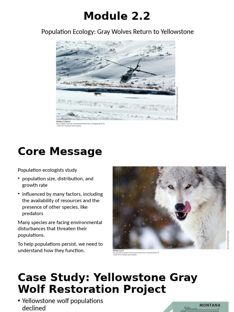 Gray Wolves and Population Ecology Insights | PDF | Ecology ...
