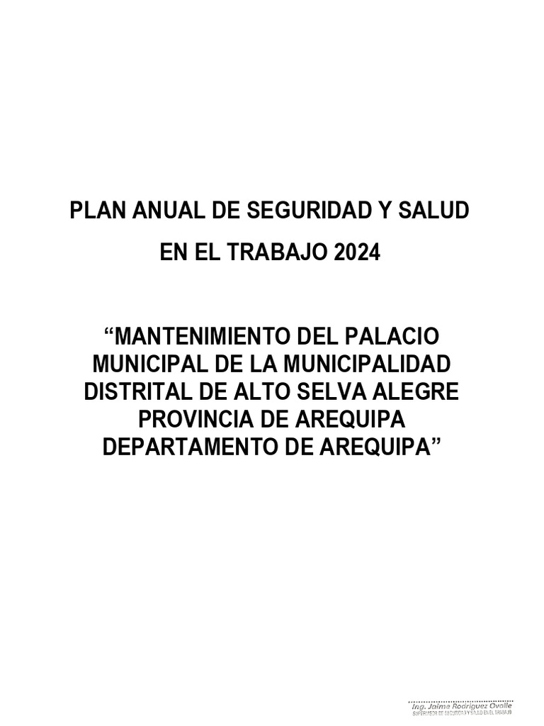 Plan Anual de Seguridad y Salud 2024 PALACIO MUNICIPAL | PDF | Valores ...