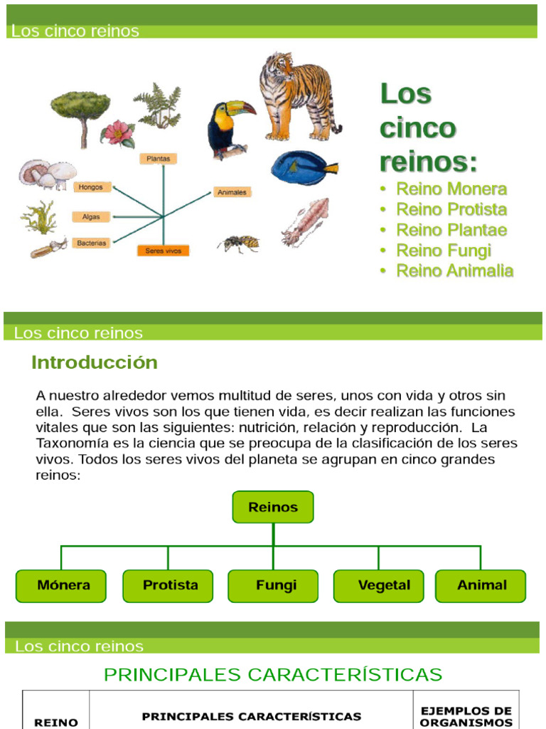 Los 5 Reinos de La Naturaleza | PDF