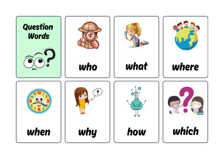 English Question Words Flashcards | PDF