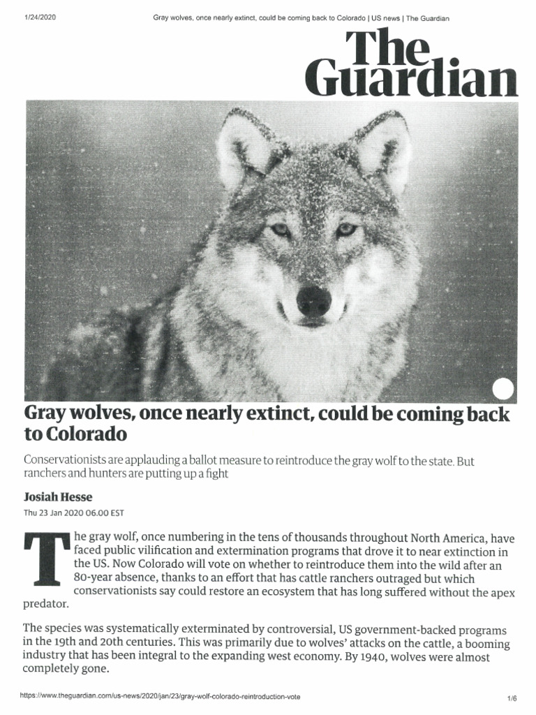 Wolf Article | PDF