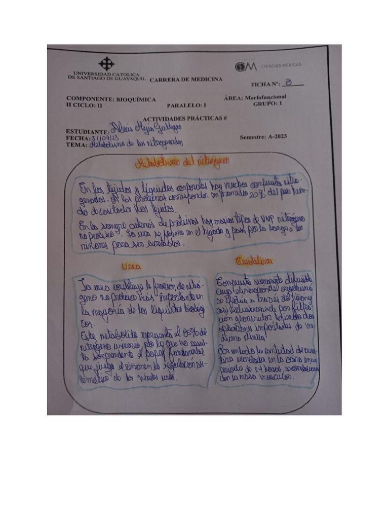 Ficha 8 | PDF