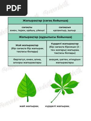Құмық және Дағыстан әйелдерімен порно
