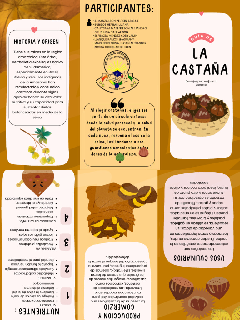 Beneficios de la Castaña para la Salud | PDF