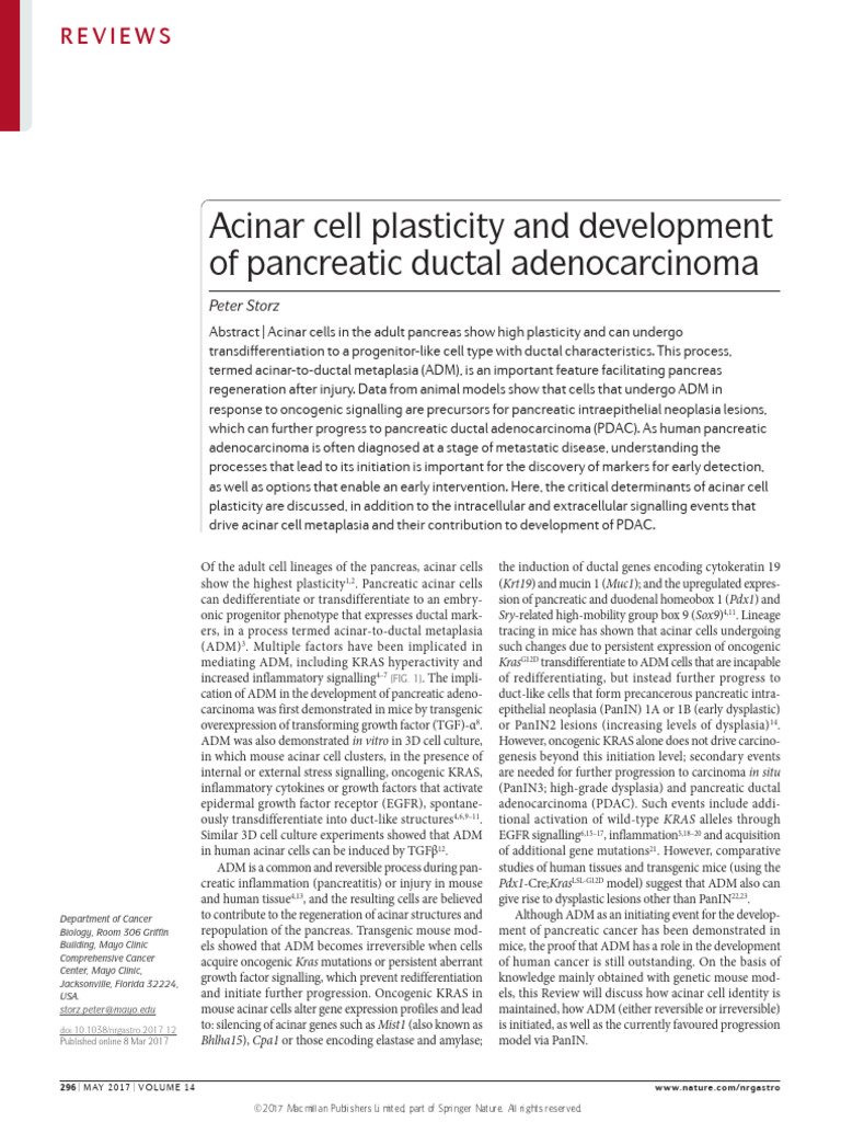 Acinar Cell Plasticity and Dev | PDF | Carcinogenesis | Cellular ...