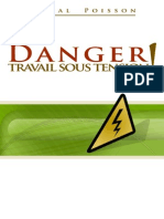 Danger - Travail Sous Tension - 6X9!20!03-2009