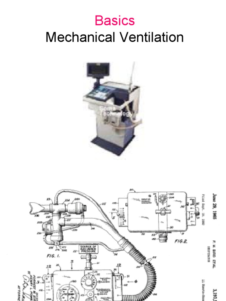 Mechanical Ventilation Basics PDF Breathing Physiology