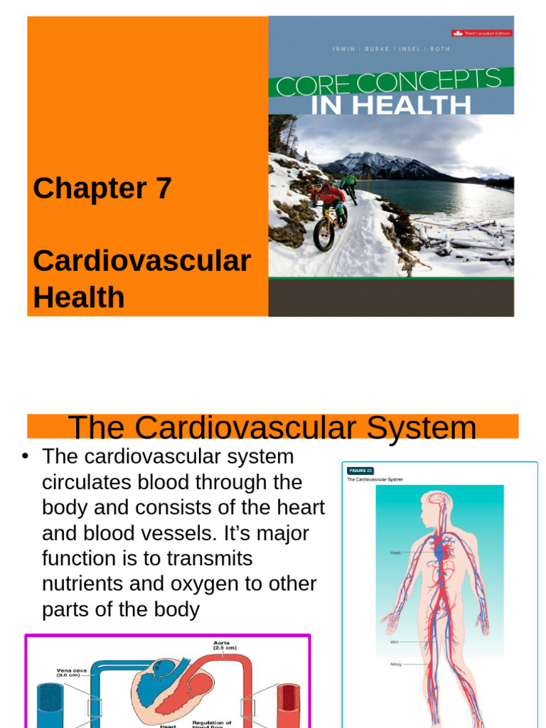Understanding Cardiovascular Health | PDF | Cardiovascular Diseases ...