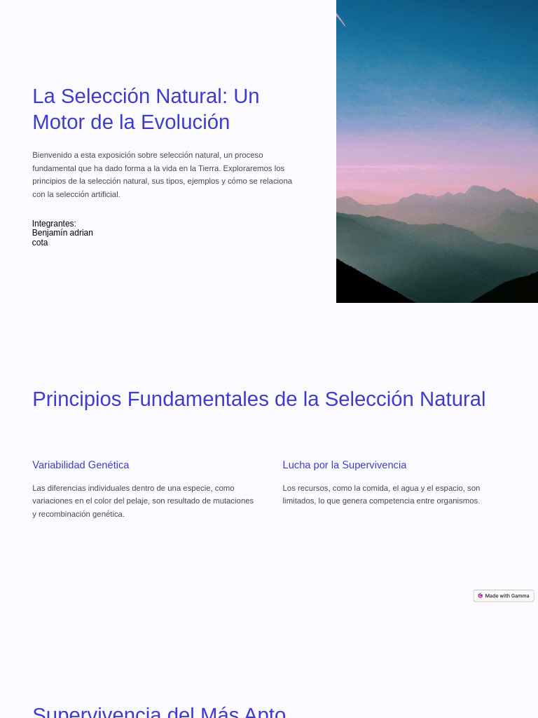 La Seleccion Natural Un Motor de La Evolucion | PDF | Seleccion natural ...