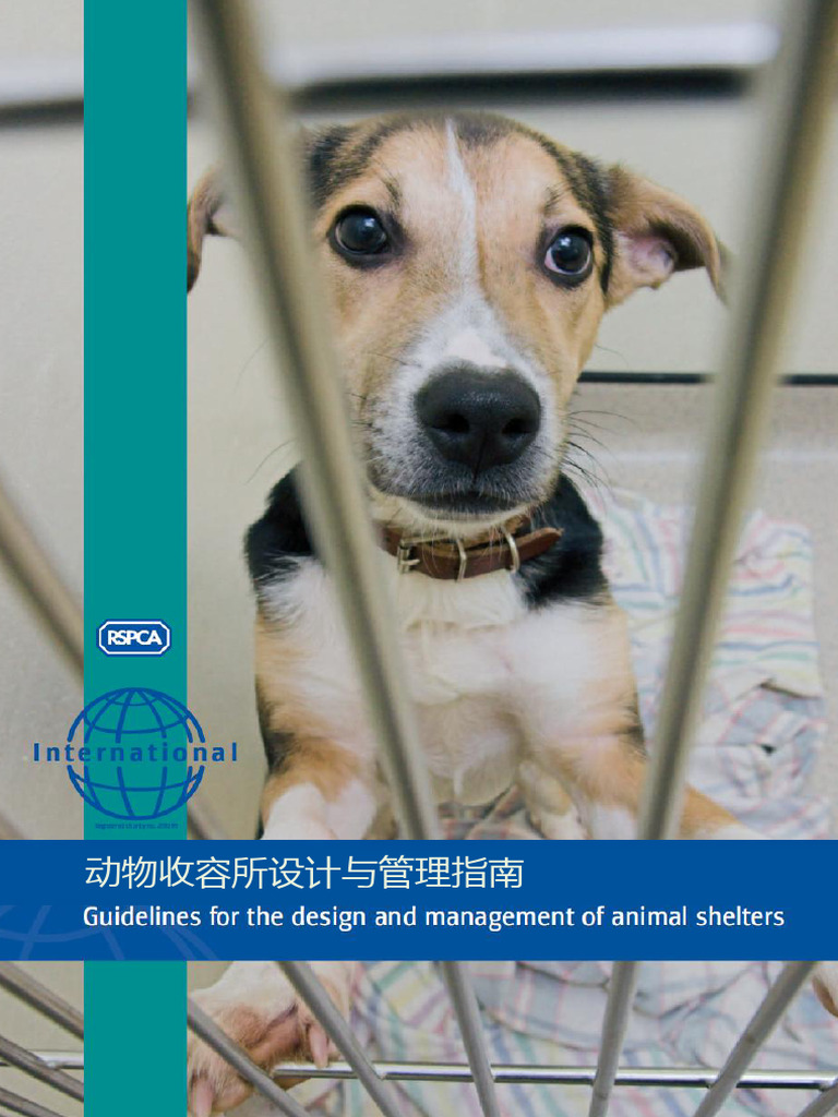 Rspca CN | PDF