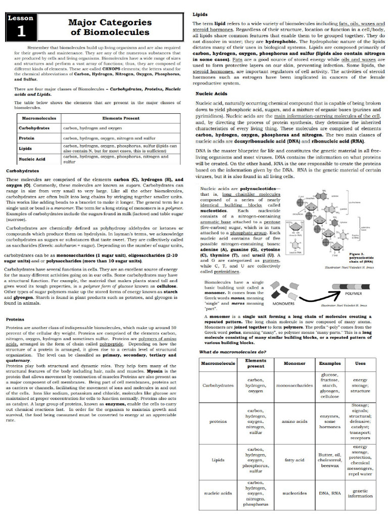 Science Notes | PDF