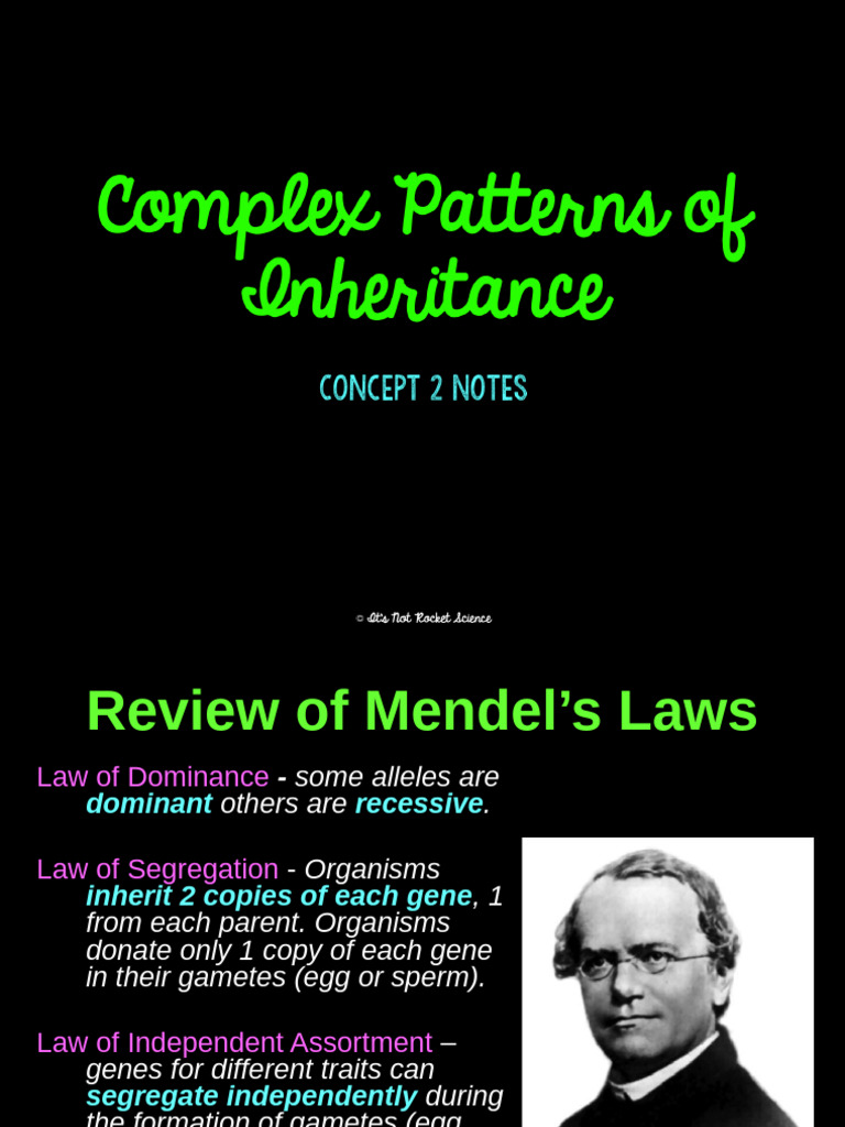 Concept+2+Notes+ +Complex+Inheritance+Patterns | PDF | Dominance ...