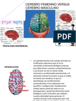 Cerebro Femenino Vs Cerebro Masculino