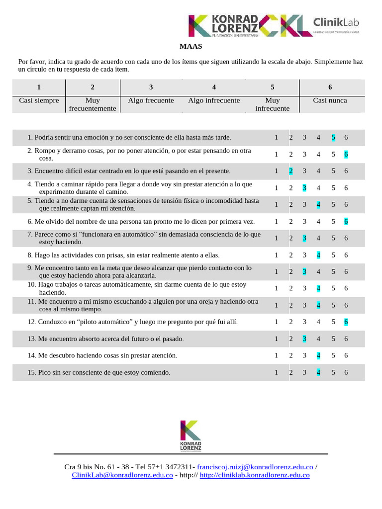Escala de Atención Plena MAAS | PDF