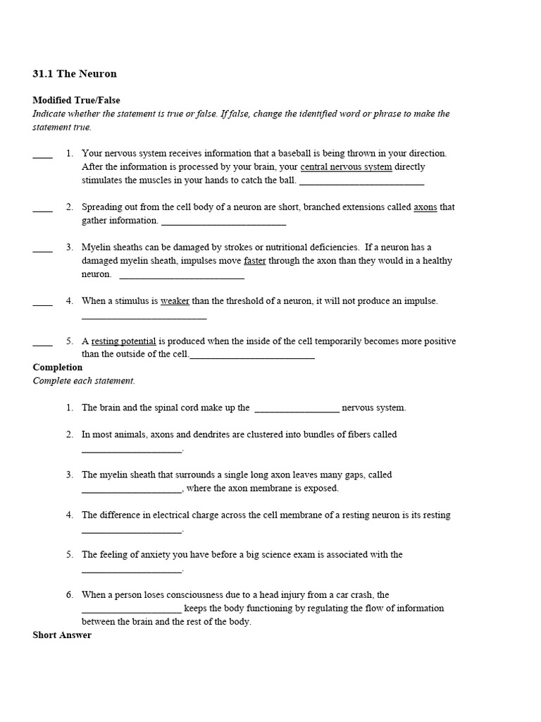 31 1 The Neuron Worksheet 2 | PDF