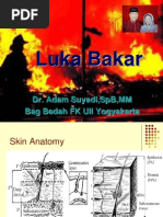 Download Luka Bakar Dr Adam by Rian Hutabarat SN86483059 doc pdf