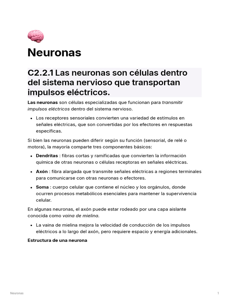 Partes y funciones de la neurona | PDF | Sinapsis | Potencial de acción