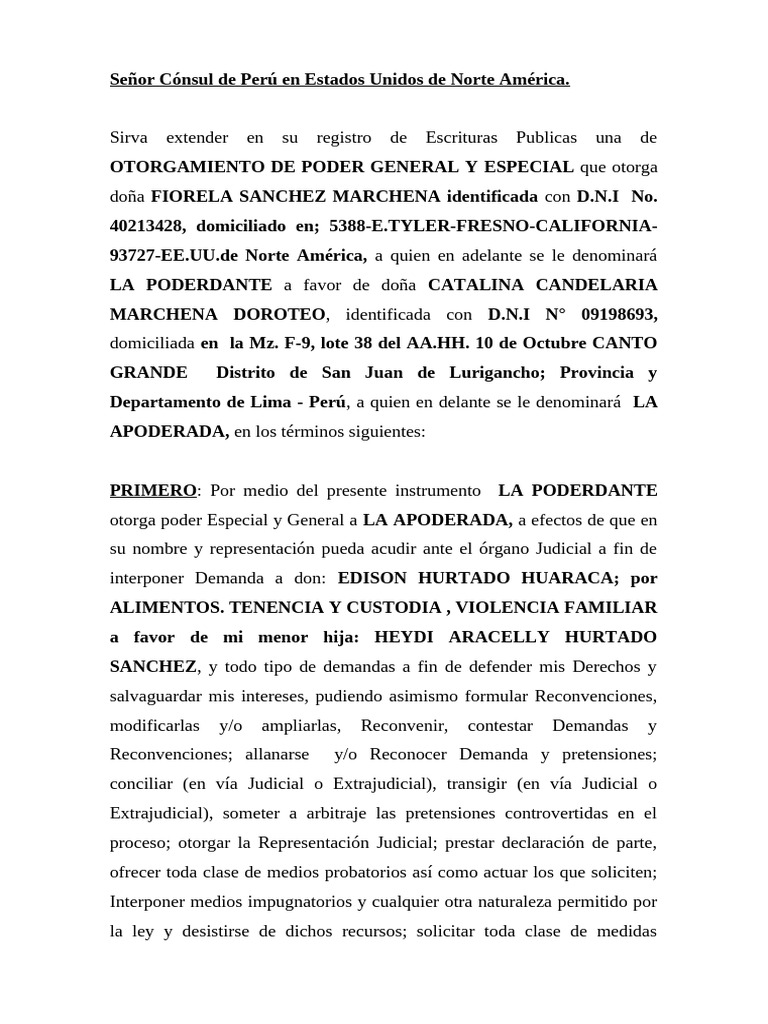 Poder Notarial para Demandas Legales | PDF | Ley procesal | Justicia