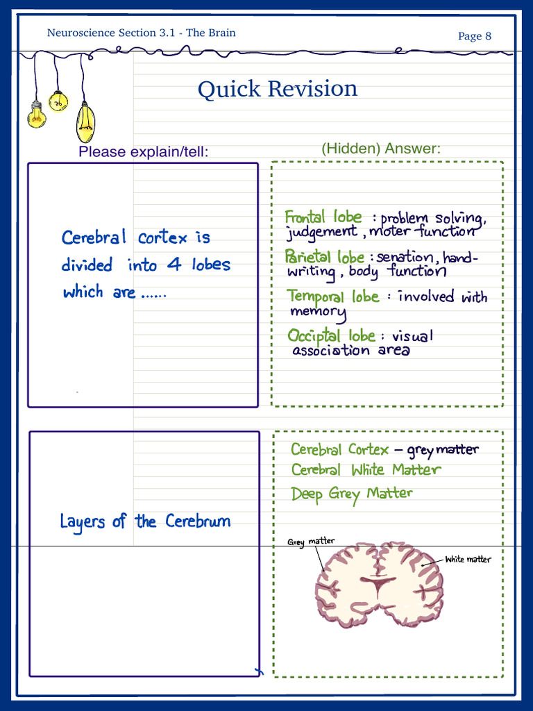 Study Notes 8 | PDF