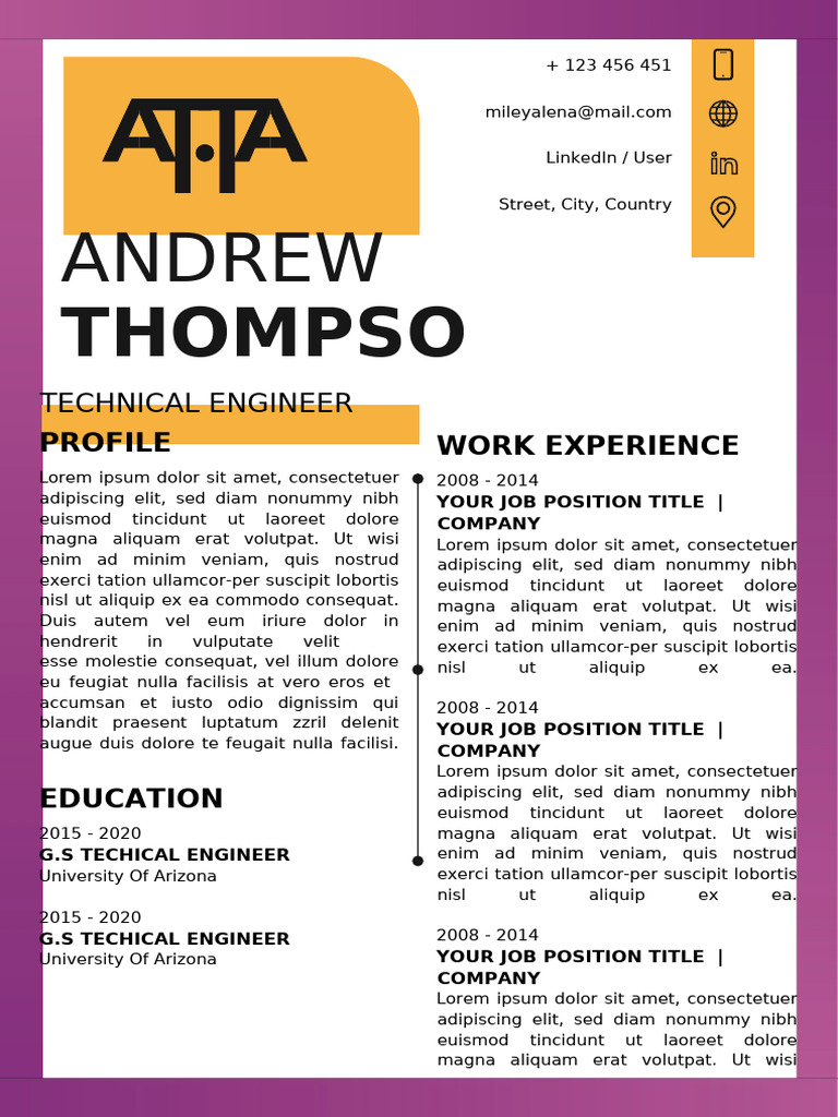 CV Template3 | PDF