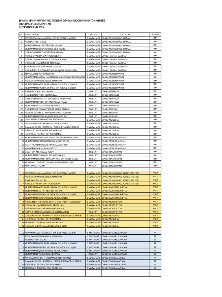 PLaN_MENTOR_MENTEE_2025 | PDF