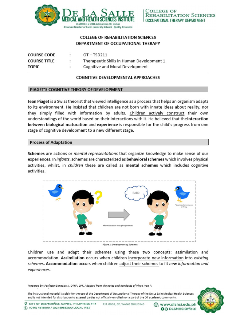 Piaget's Cognitive Development Stages | PDF | Psychology | Behavioural ...
