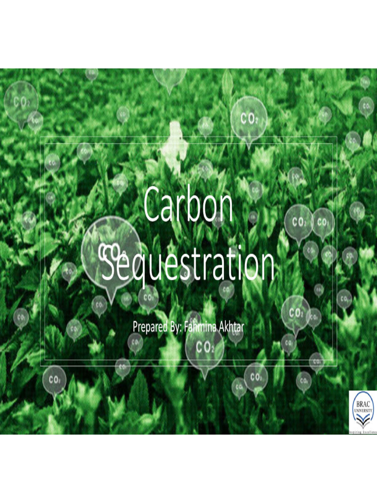 Understanding Carbon Sequestration | PDF | Carbon Sequestration ...