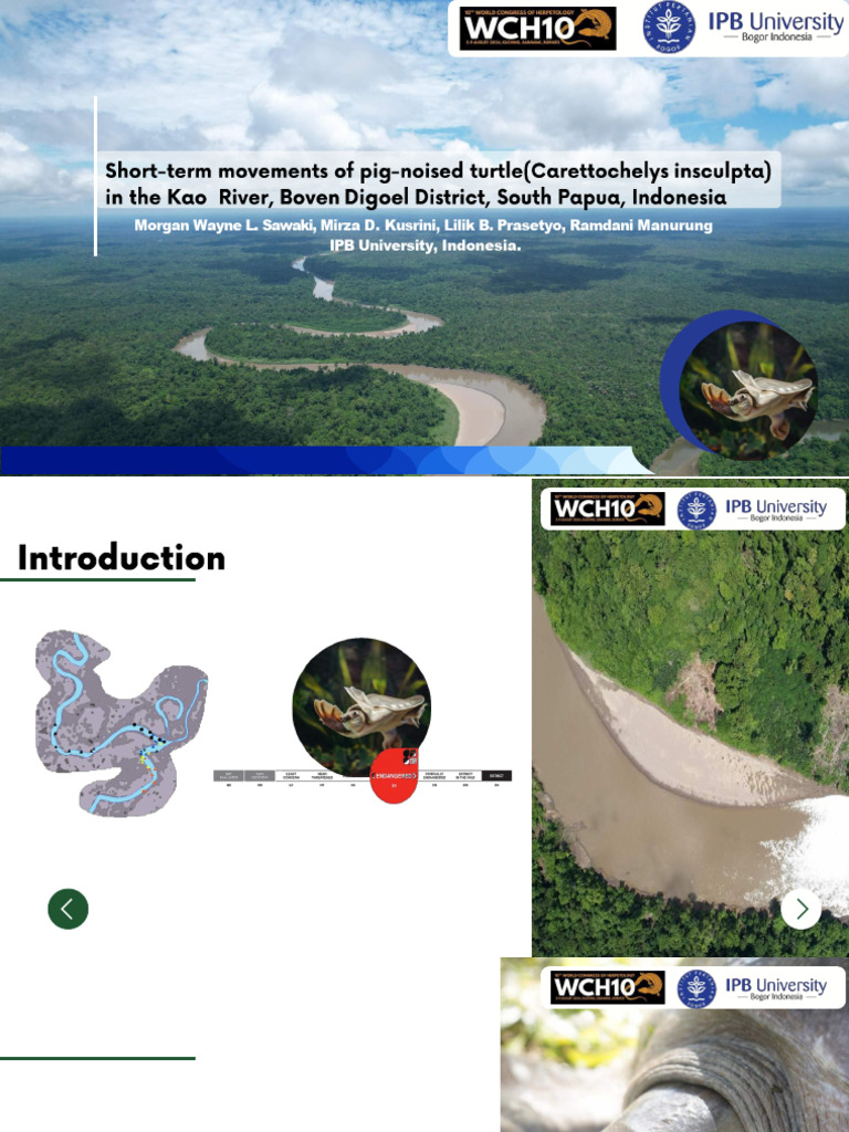 Cost-Effective GPS Tracker for Turtles | PDF