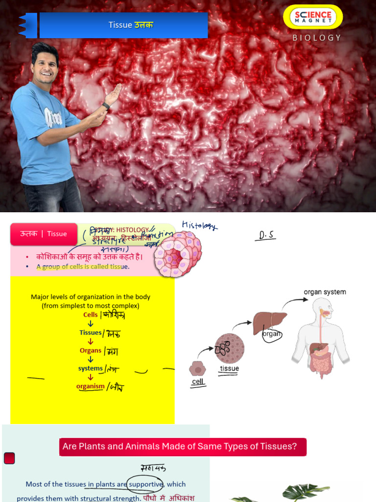 Tissue Part-1 | PDF