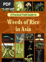 Download Weeds of Rice in Asia by Zahid Ihsan SN86497073 doc pdf