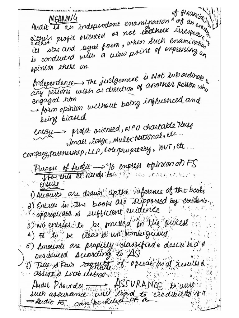 Audit Chapter 1 Notes Pdf