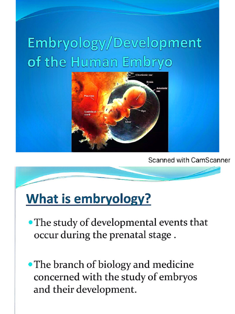 Embryology | PDF