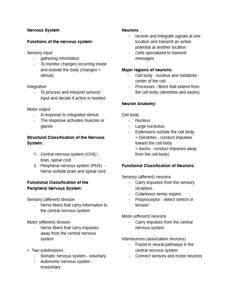 Overview of Nervous System Functions | PDF | Nervous System | Cerebrum