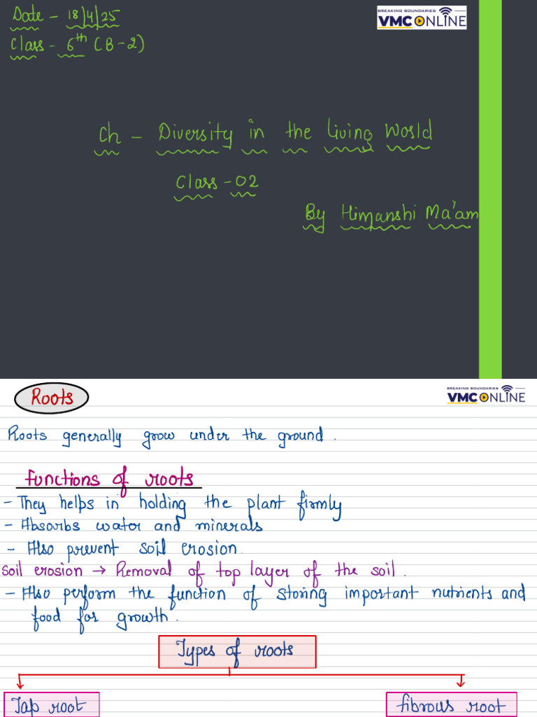 ChDiversityintheLivingWorld Class 6 Ncert Notes | PDF | Root | Habitat