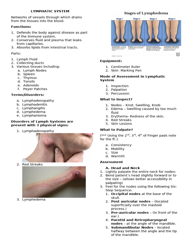 Lymphatic System Assessment Guide | PDF | Lymphatic System | Arm