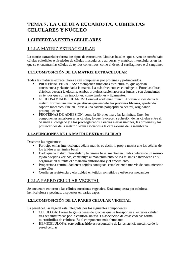 Estructura y Función de la Célula Eucariota | PDF | Nucleo celular | La ...