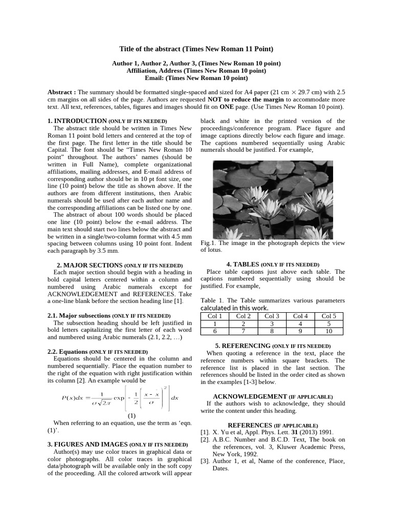 ICMAGMA 2025 Abstract Submission Guidelines | PDF | Times New Roman ...