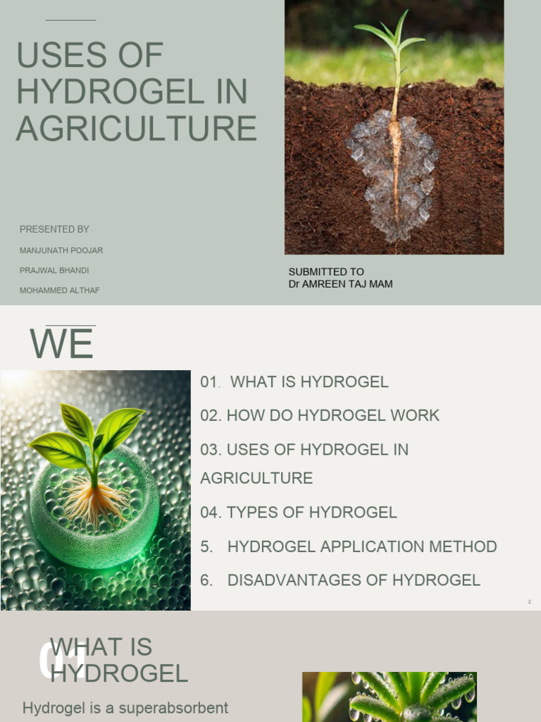 Hydrogel Applications in Agriculture | PDF | Soil | Water