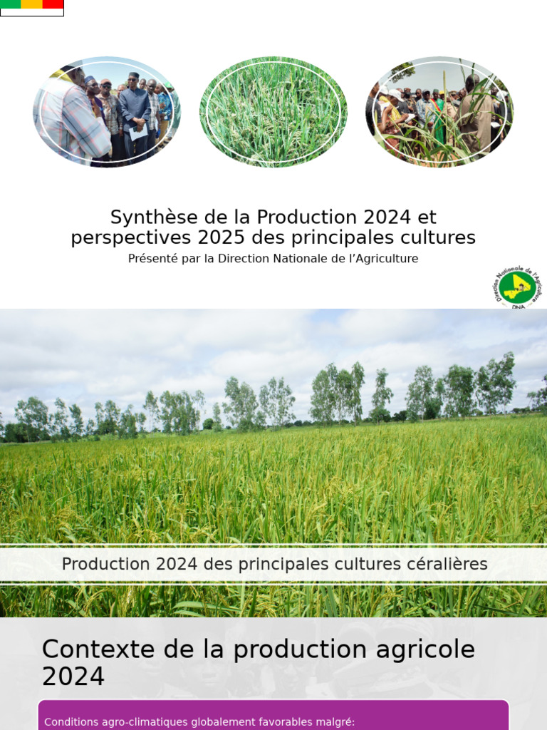 Synthese de La Production 2024 Et Perspectives 2025 Des Principales ...