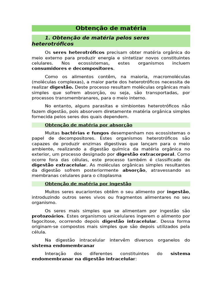 Obtenção de Matéria | PDF | Fotossíntese | Célula (Biologia)