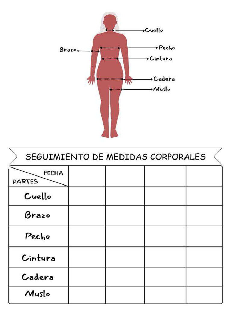 seguimiento-de-medidas-corporales-pdf