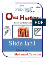 Slide Lab Slide Lab1 1: Mohamed Tawalbe