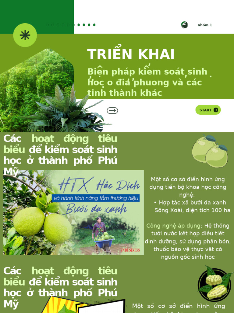 Triển Khai | PDF
