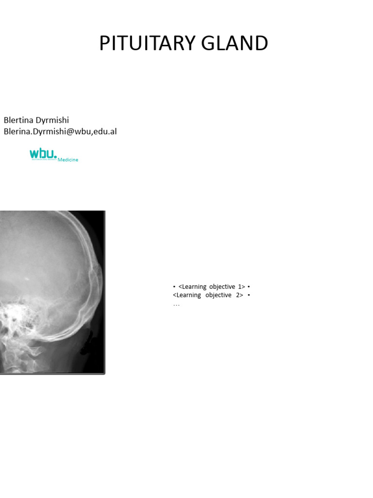 Understanding the Pituitary Gland Anatomy | PDF | Pituitary Gland ...