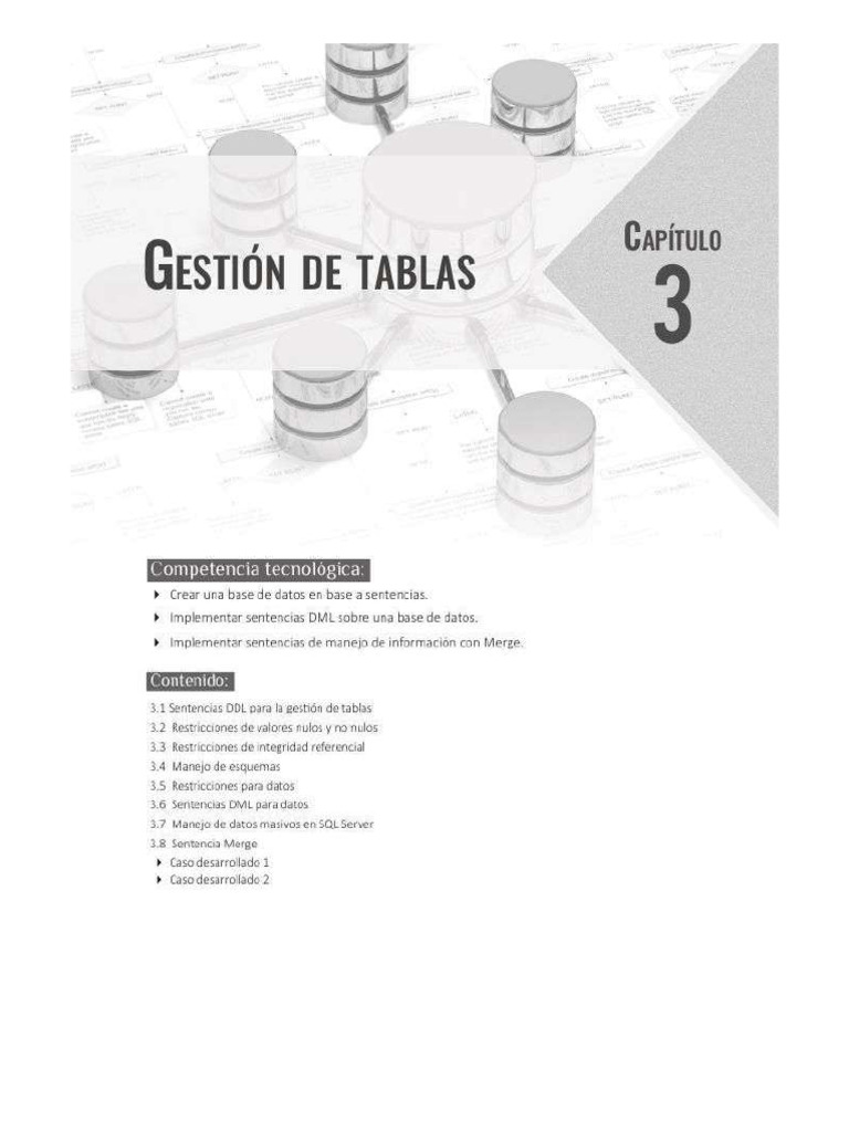 Capitulo 3 | PDF