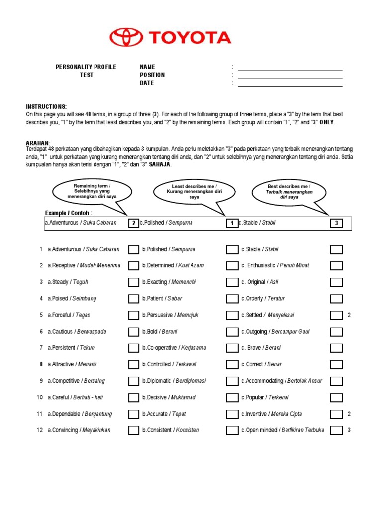 Personality Profile Assessment Guide | PDF | Diversity (Business ...