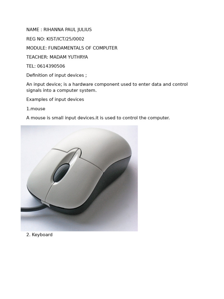 Foundamental of Computer | PDF