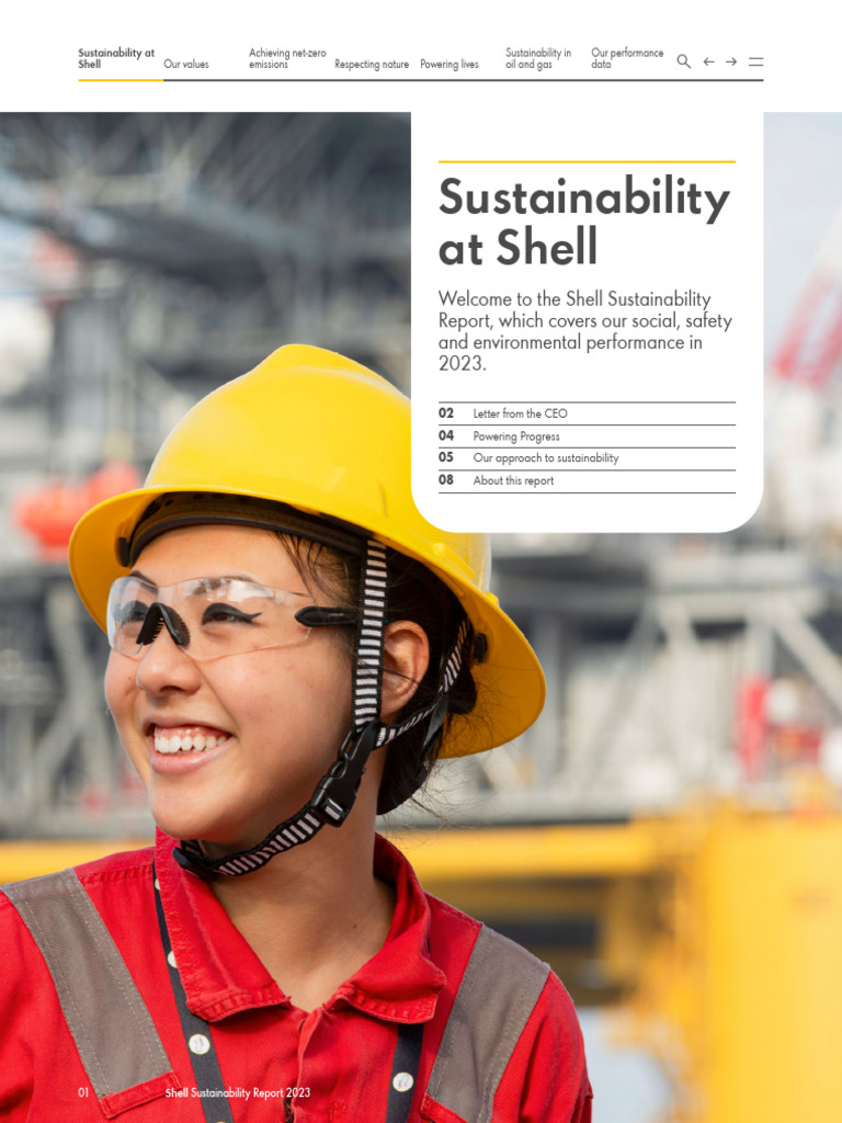 Shell Sustainability Report 2023 | PDF | Natural Gas | Liquefied ...