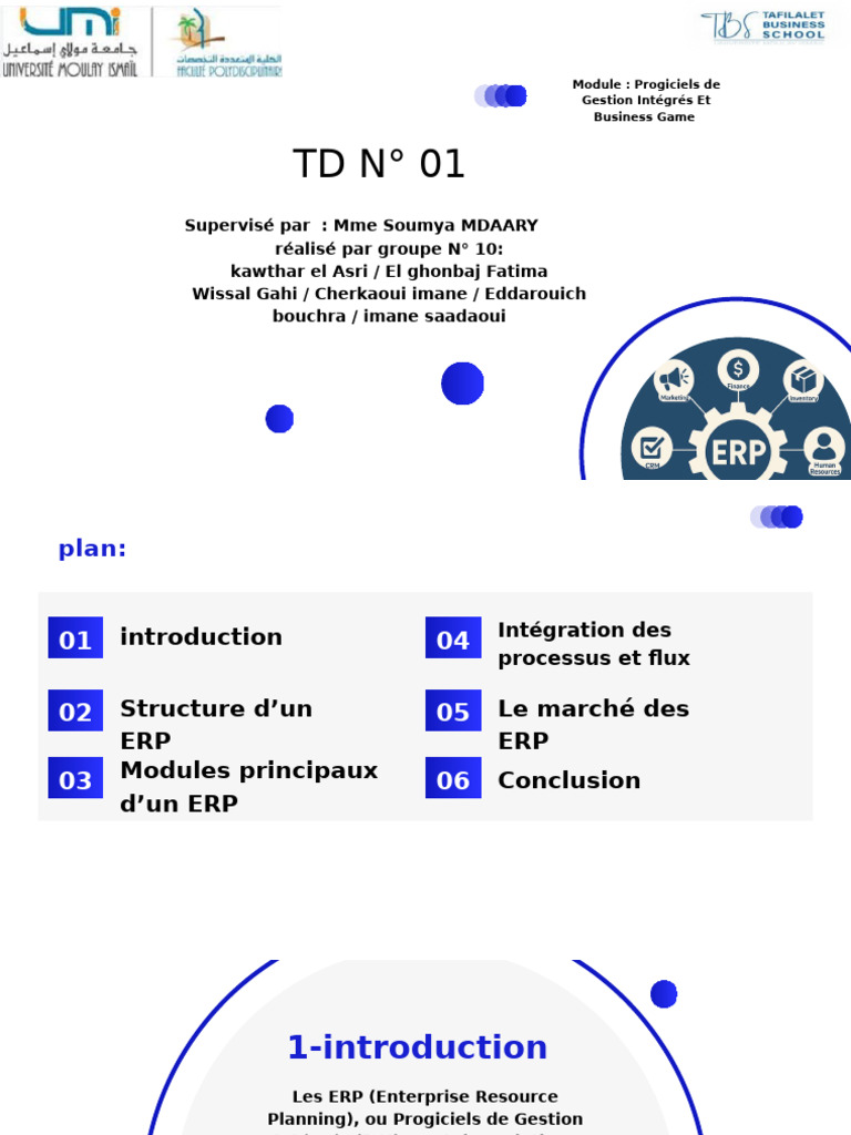 Comprendre les ERP : Structure et Marché | PDF | Progiciel de gestion ...